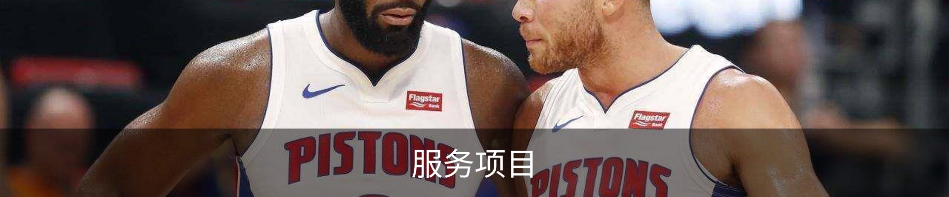 服务项目